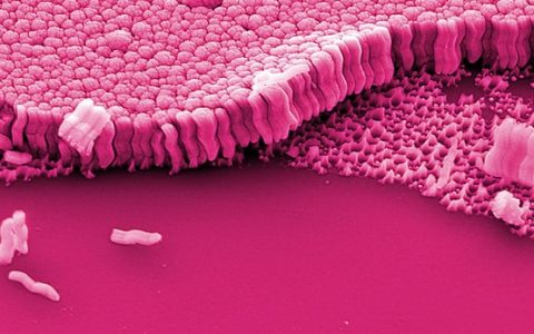 核饥饿产生新型金属玻璃