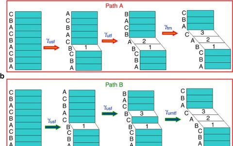 北京工业大学韩晓东团队Nat. Commun.:面心立方结构材料形变孪晶形核新路径
