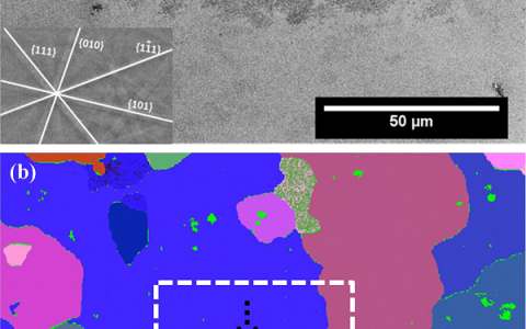 曼彻斯特大学Corros. Sci.:Al-Cu-Li合金腐蚀行为的研究
