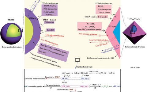 崔光磊团队Adv. Energy Mater.：电解液添加剂联用策略提升5V高电压锂离子电池的循环稳定性、倍率性能和阻燃性