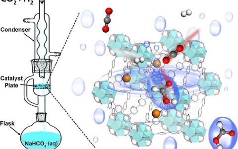 厦门大学JACS：MOF中铱复合物分子催化剂通过协同的质子-氢化物传递催化CO2加氢
