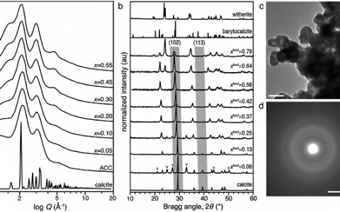 美国西北大学Derk Joester AFM:计算与实验的结合,无定形钙碳酸钡的亚稳定性结构基础