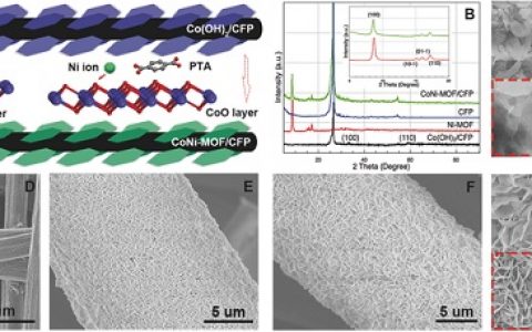 吉林大学Adv. Energy. Mater.：“反其道而行”制备高度取向MOF电极
