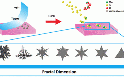 南方科技&香港科技ACS Nano: 孪晶缺陷诱导单层MoS2枝晶生长