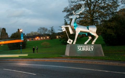 廉价和安全的非金属电催化剂可用于生产燃料电池