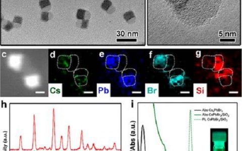 加州大学河滨分校/苏州大学JACS：界面合成高稳定性CsPbX3/氧化物Janus纳米颗粒
