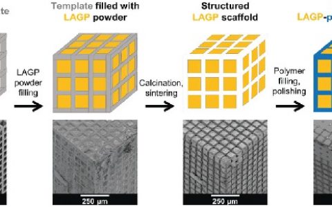 牛津Energ.Environ.Sci.：3D双连续相有序陶瓷聚合物微通道混合电解质用于全固态电池