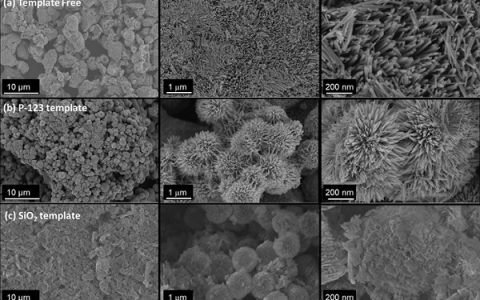 ACS Appl. Mat. Interfaces：无碳尖晶石NiCo2O4催化剂对碱性介质中双功能氧还原和进化的形态控制