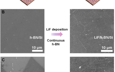 Sci.Adv.: 通过原子层沉积LiF作为锂金属阳极的稳定界面来拼接h-BN