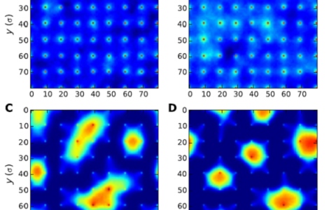 Science Advances:聚电解质刷中由多价离子诱导的横向结构的不均匀性
