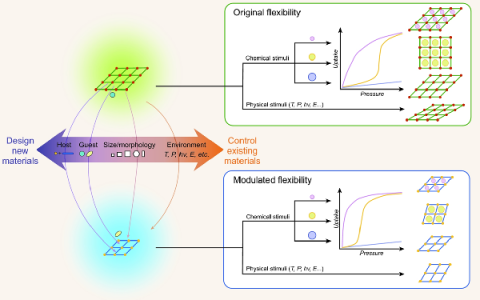 张杰鹏&陈小明Natl. Sci. Rev.：金属-有机框架材料（MOF）的柔性控制