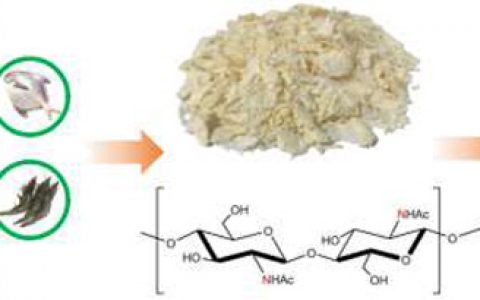 北京航空航天大学郭林Nano Energy：几丁质衍生的N掺杂非晶碳纳米纤维用于高性能钠离子全电池