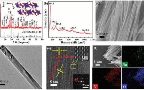 麦立强&晏梦雨Adv. Energy Mater.: 钠离子稳定的钒氧化物纳米线正极用于高性能锌离子电池