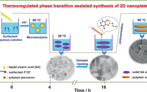 大工陆安慧Angew. Chem. Int. Ed.：用于气体分离的温控相转变法合成孔径精准可控的二维纳米炭片