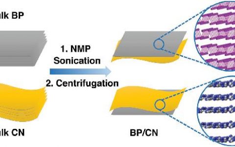 福大王心晨Adv. Funct. Mater. :黑磷/氮化碳异质结光催化分子氧活化