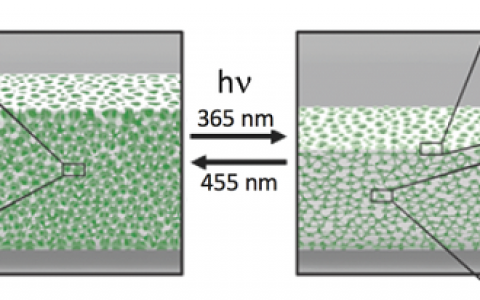 Adv. Funct. Mater. :用于按需液体释放的光敏海绵状涂层