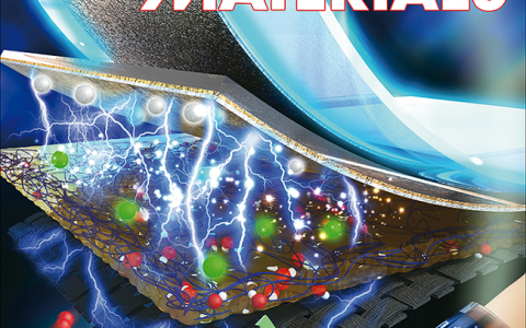 天津大学Adv. Energy Mater.:原位生长超薄Co3O4/碳布一体化电极提升柔性锌空电池性能