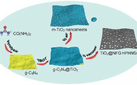 Adv. Mater. : 由石墨烯包覆的互联TiO2纳米颗粒组成的分级多孔纳米片用于超快储钠