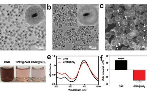 Adv. Mater:生物可降解的光响应“纳米摇铃”实现癌症诊疗一体化