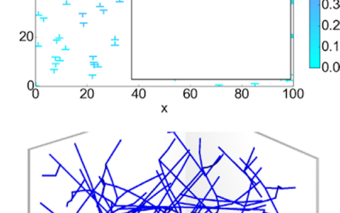Phys. Rev. Lett.：晶体塑性激发光谱