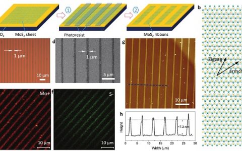 Adv. Funct. Mater.：MoS2纳米带的大规模制造及其光诱导电子以及热传导特性——结构和缺陷中的二分法