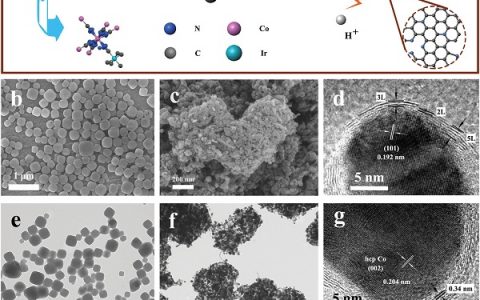 Adv. Mater.：氮掺杂碳笼包覆钴铱合金核调节碳催化析氢活性