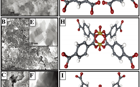 Adv. Funct. Mater.: 电化学性能可调的Cu-MOFs材料问世