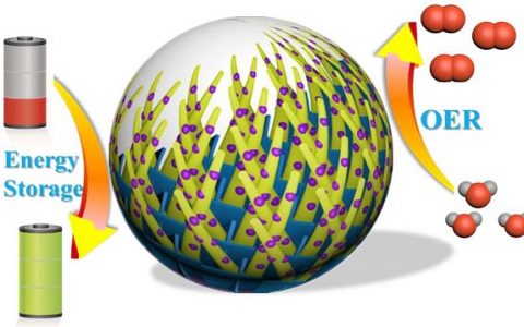 余颖Sci. Bull.：通过多维结构纳米复合材料的设计实现其在能源存储和电催化领域的应用