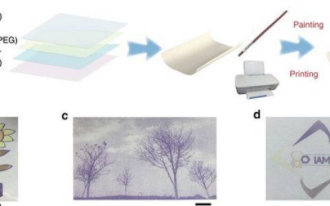 Nat. Commun.:用于多色喷墨可复用纸中的活性金属配体配合物的研究