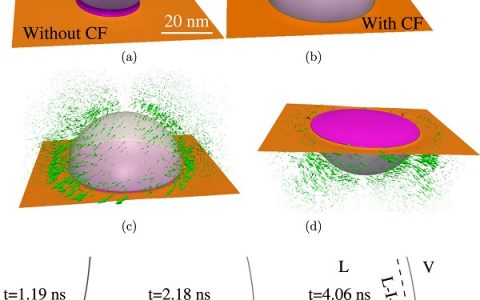 Acta Materialia：Al-Au体系中析出相Al2Au反应性润湿和生长的相场模型