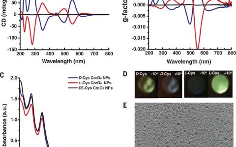 Science重磅：磁场调控手性磁性纳米颗粒和凝胶的光学活性