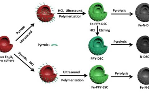 ACS Nano:Fe-N掺杂双层空心碳微球氧还原反应催化剂的原位自模板合成
