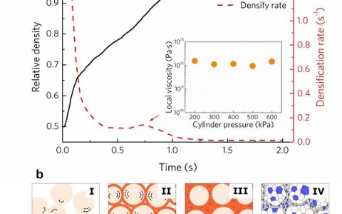 深圳大学刘志远团队Sci. Rep.：超快速超声振动压结制备块体纳米晶钛合金