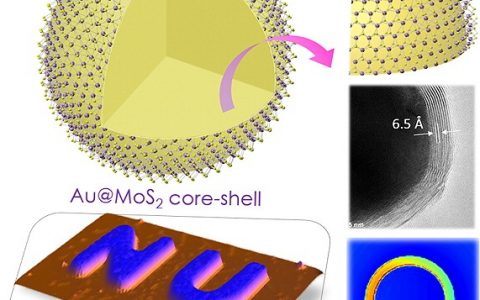 Nano Lett.：新型曲面二维材料：具有强光相互作用的新型核-壳异质结构——Au@MoS2