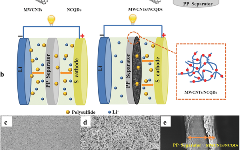 复旦大学夏永姚和王永刚Adv. Energy Mater.：具有协同保护作用的超轻MWCNTs/NCQDs改性隔膜用于高稳定锂硫电池