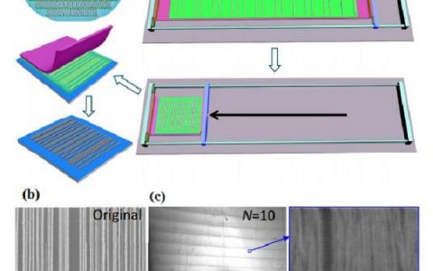北京大学ACS Nano: 高密度高纯度半导体碳纳米管阵列问世