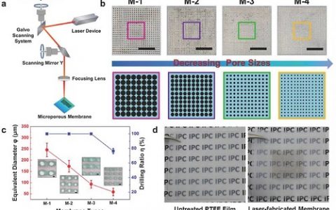 Adv. Funct. Mater.:基于特殊可浸润聚四氟乙烯膜实现化学反应体系的原位分离