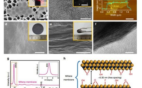 Nature子刊：二维MXene分子筛膜实现H2/CO2的高效分离