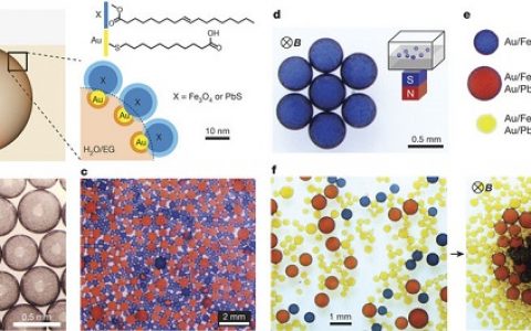 Nature重磅：多重响应表面活性剂作用构建“百变”液滴