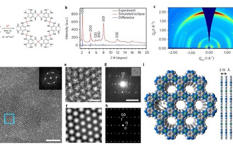 鲍哲南最新Nature Energy：坚韧导电的高体积和高面积容量二维MOFs材料