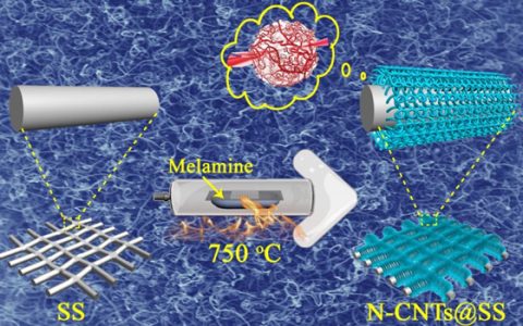 长春应化所Adv. Energy Mater.：受人体毛细血管启发的柔性锂空气电池正极