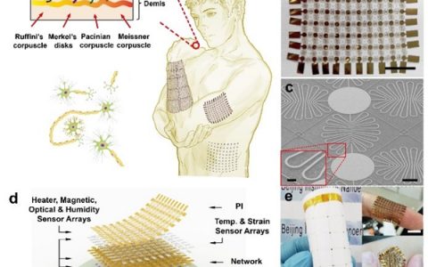 北京纳米能源所Nature子刊：可拉伸扩展的多功能集成电子皮肤