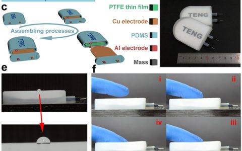 纳米能源所王中林院士Materials Today：基于仿生水母的摩擦纳米发电机可用于收集水波能量和自驱动传感
