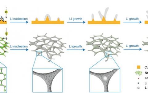万立骏郭玉国Adv.Mater.：轻量级氮掺杂石墨碳海绵均匀成核生长金属锂用于锂金属电池负极