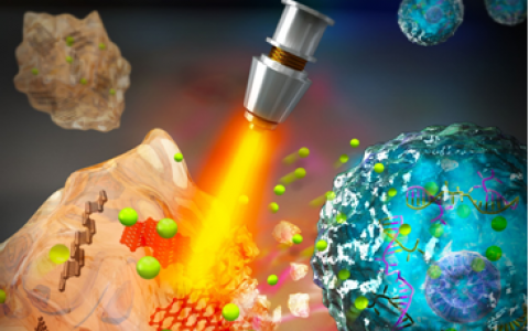 深圳大学PNAS：黑磷抗癌——近红外激光响应的智能黑磷水凝胶