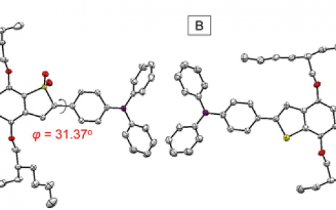 唐本忠Adv. Funct. Mater.：基于苯并[1,2-b：4,5-b']二噻吩1,1,5,5-四氧化物的高效近红外荧光基团用于靶向光动力疗法和体内双光子荧光生物成像