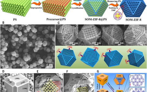 华南理工Science:构筑有序的宏观-微孔金属有机框架单晶
