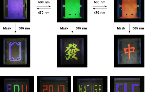 复旦大学俞燕蕾教授课题组：开发新型超分子光子晶体材料