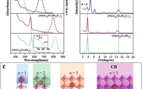 Adv. Funct. Mater.：基于2D Ruddlesden-Popper钙钛矿的放大自发辐射