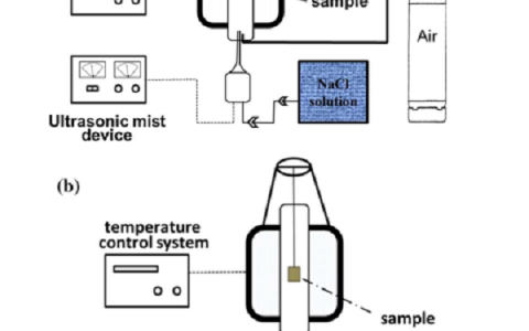 中科院金属所刘莉Corros. Sci.：Fe-20Cr合金在600℃ NaCl溶液中的腐蚀行为的研究